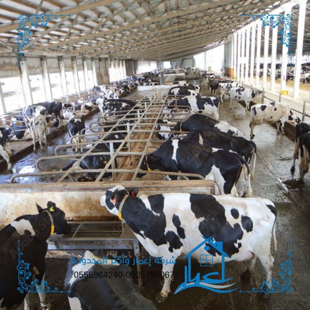 Livestock hangar هناجر مواشي