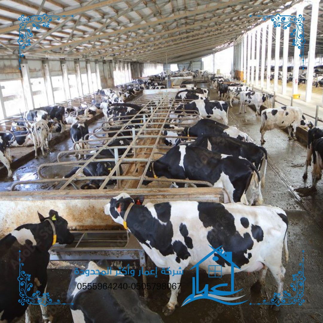 Livestock hangar هناجر مواشي